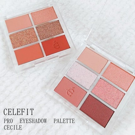 プロアイシャドウパレットセシル/CELEFIT/アイシャドウパレットを使ったクチコミ(1枚目)