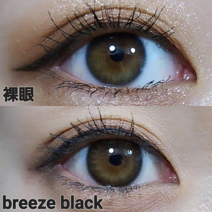 efos 1day ブリーズブラック/efos/ワンデー(1DAY)カラコンの画像