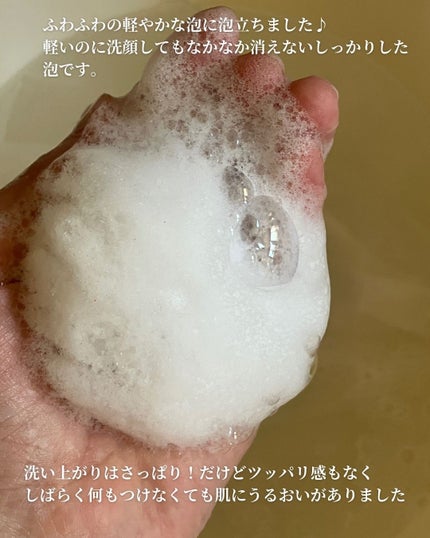パウダーテック・ウォッシュ/WHITE ICHIGO/洗顔パウダーを使ったクチコミ(5枚目)