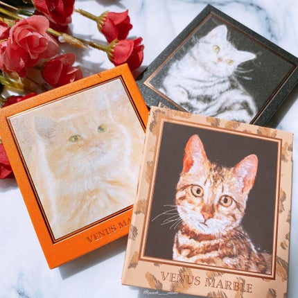 カラーインパクト リキッドライナー/Visée/リキッドアイライナーを使ったクチコミ(10枚目)