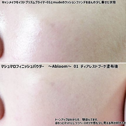 ãã·ã¥ãããã£ããã·ã¥ããŠããŒãïœAbloomïœ/ãã£ã³ã¡ã€ã¯/ãã¬ã¹ãããŠããŒã䜿ã£ãã¯ãã³ãïŒ10æç®ïŒ