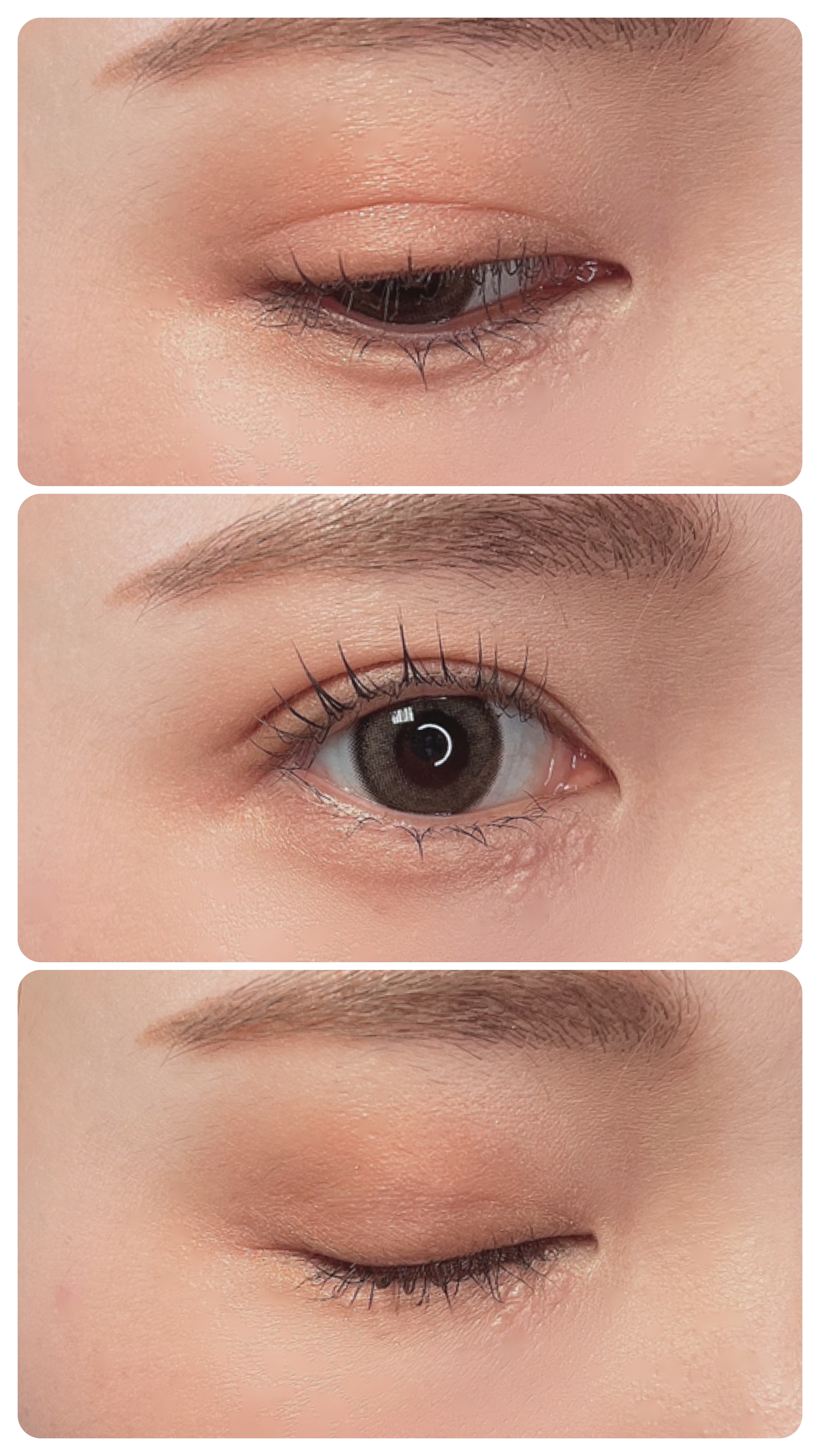 アイグロウジェム スキンシャドウ 27M rustic brown/DECORTÉ/ジェル・クリームアイシャドウを使ったクチコミ（3枚目）