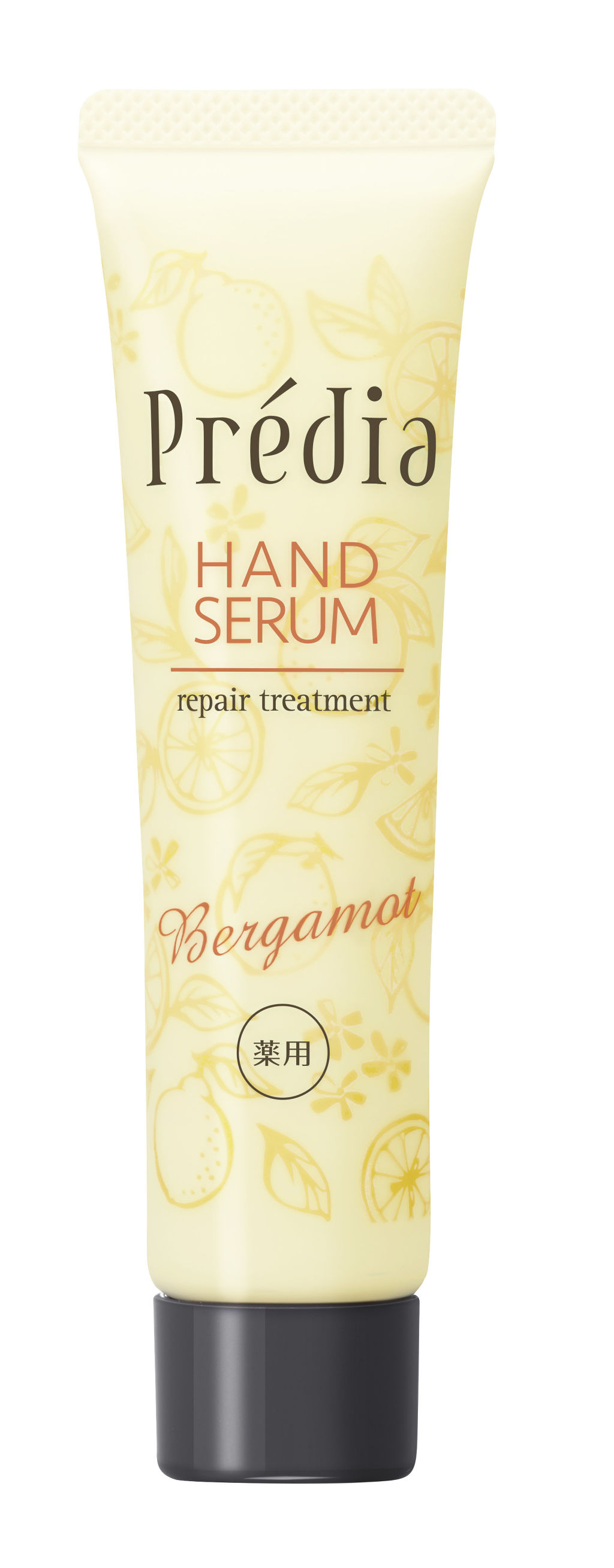 Prédia 薬用ハンドセラム RT e