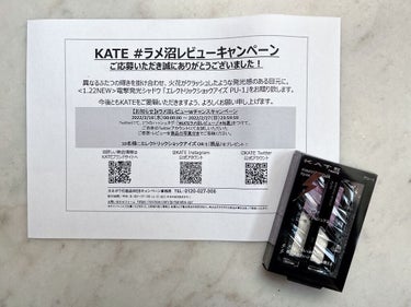 エレクトリックショックアイズ /KATE/アイシャドウパレットを使ったクチコミ（4枚目）