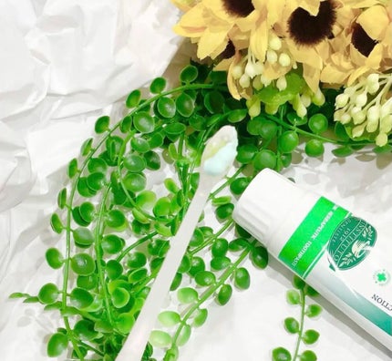 を使ったクチコミ(2枚目)