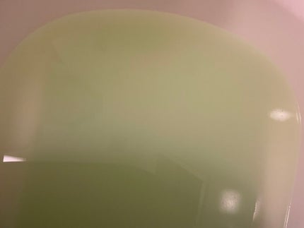 ふぁいてんの湯/ファイテン/入浴剤を使ったクチコミ(3枚目)
