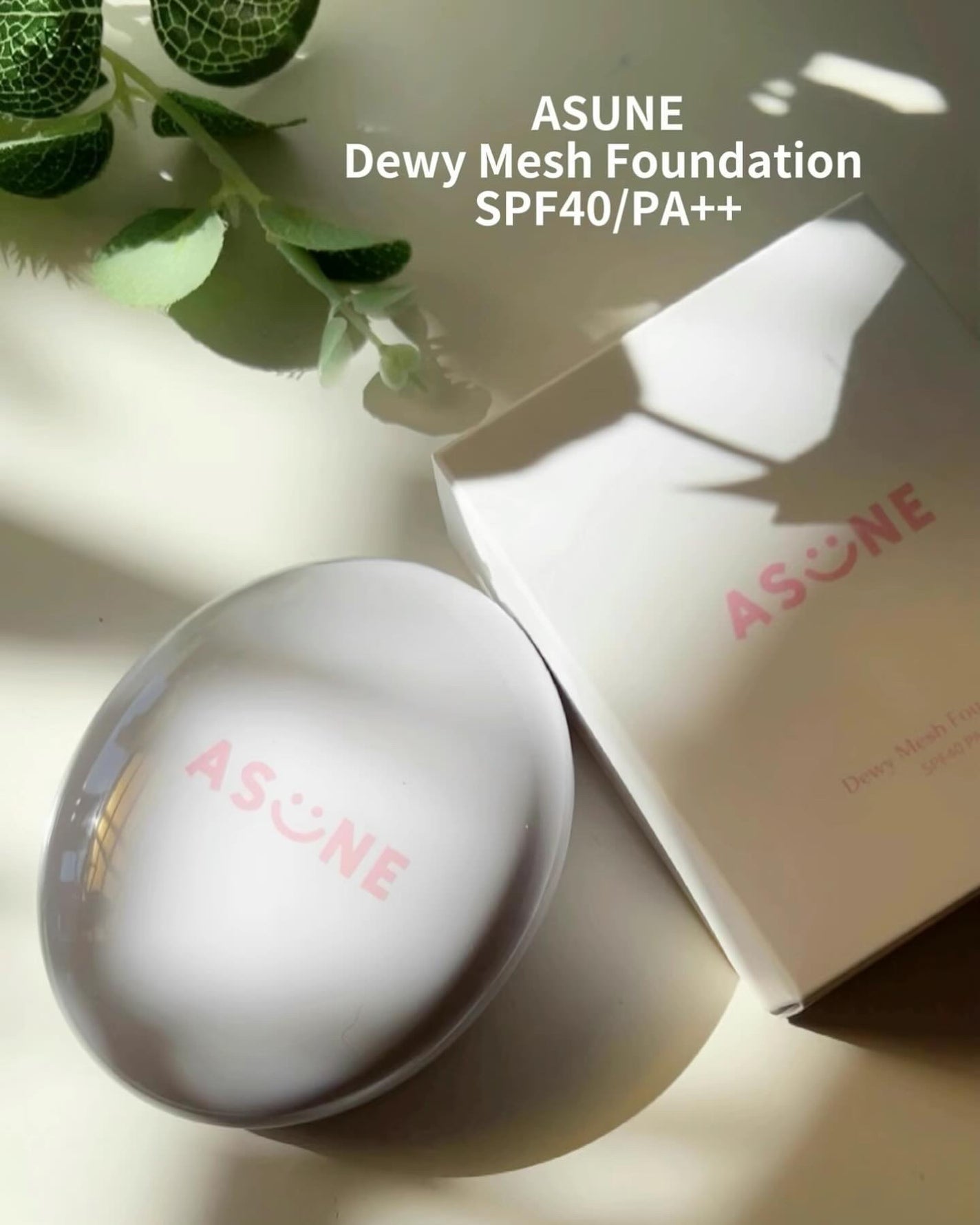 デューイーメッシュファンデーション/ASUNE /クッションファンデーションを使ったクチコミ(2枚目)