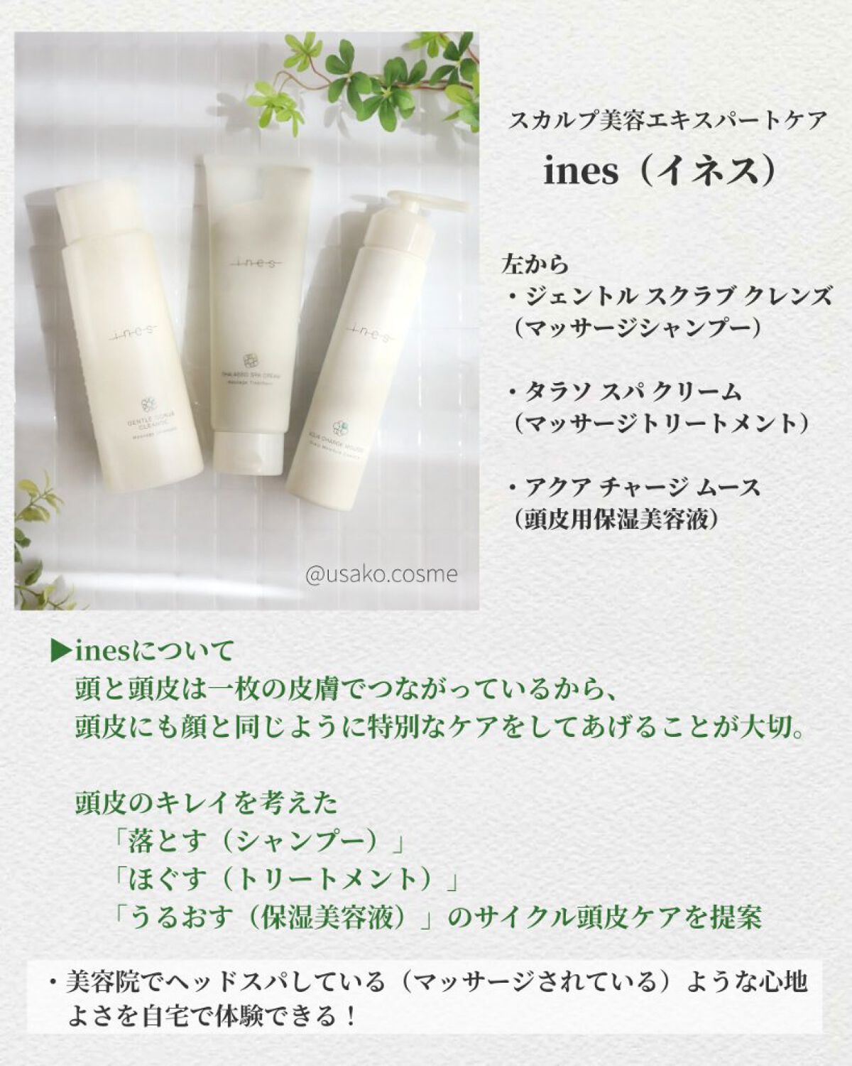 アクア チャージ ムース/ines/頭皮ローションを使ったクチコミ（2枚目）