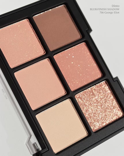 ブラーフィニシュシャドウパレット/Dinto/アイシャドウパレットを使ったクチコミ(6枚目)