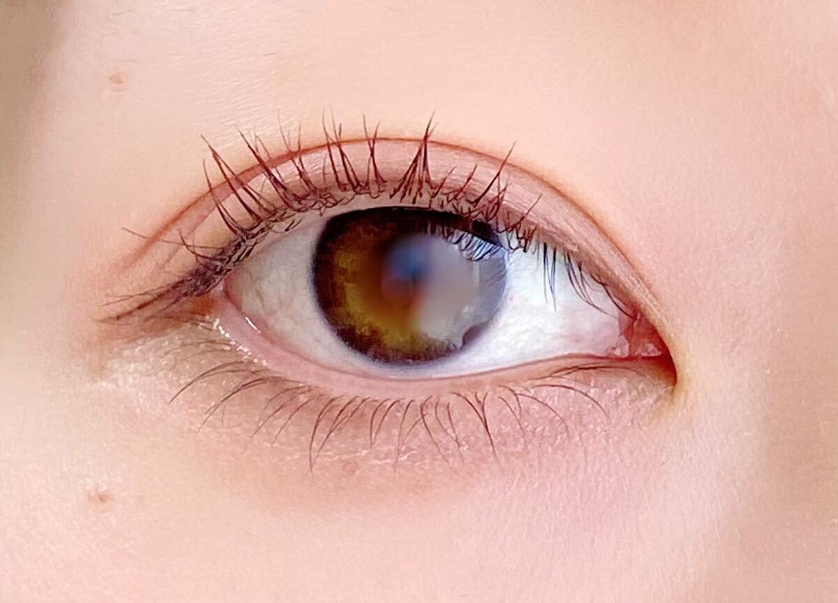 コンスピキュアス アイズ/Amplitude/アイシャドウパレットを使ったクチコミ（2枚目）