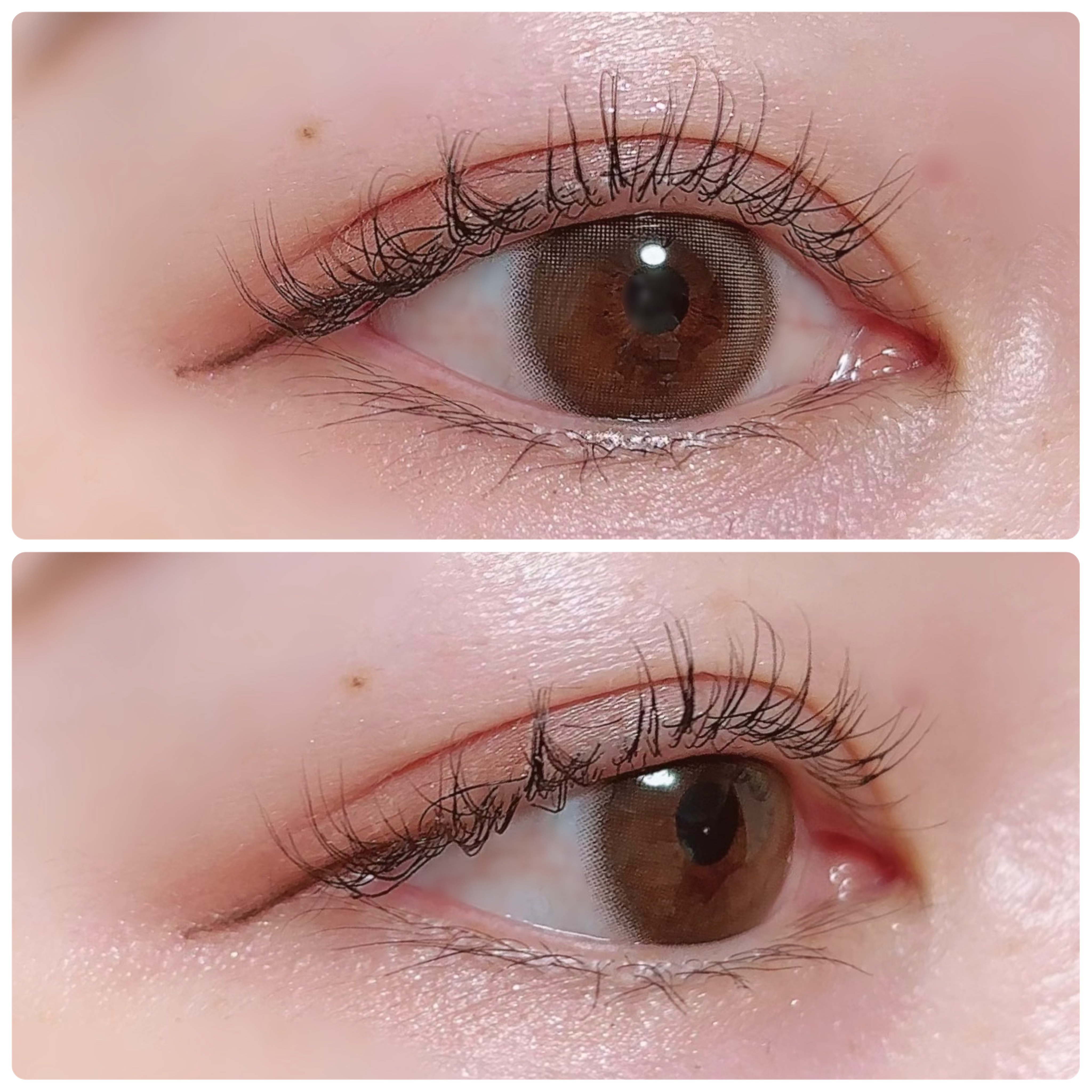 マスカラ ロング/3650/マスカラを使ったクチコミ（3枚目）