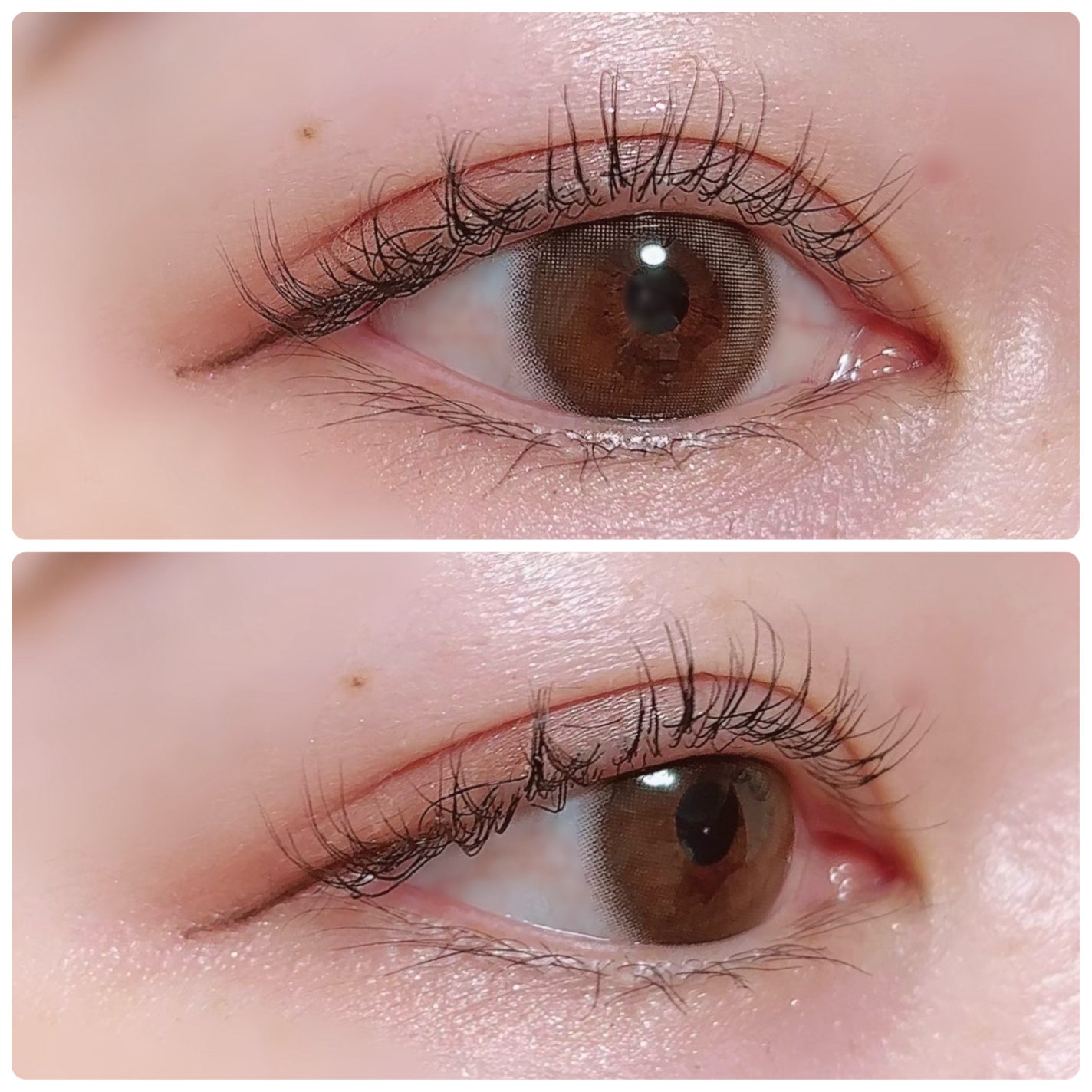 マスカラ ロング/3650/マスカラを使ったクチコミ(3枚目)