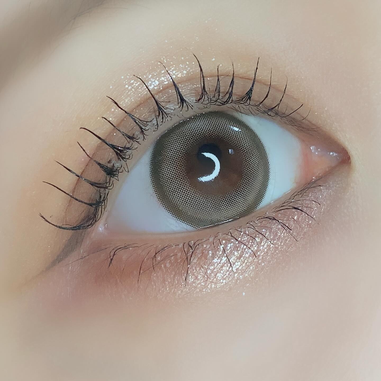 エバーカラーワンデーミリモア よくばりシロップ/エバーカラー/ワンデー（１DAY）カラコンを使ったクチコミ（3枚目）