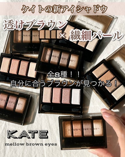 ケイト メロウブラウンアイズ/KATE/アイシャドウパレットを使ったクチコミ(2枚目)