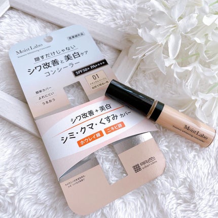 モイストラボ エッセンス薬用美白コンシーラー/Moist Labo/リキッドコンシーラーを使ったクチコミ(6枚目)