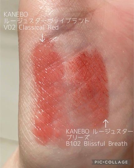 アルティミューン パワライジング コンセントレート Ⅲn/SHISEIDO/美容液を使ったクチコミ(4枚目)