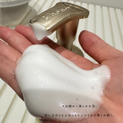 ピュアモイスト 泡ボディウォッシュ/&honey/ボディソープを使ったクチコミ(7枚目)