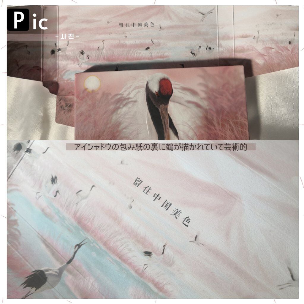 エクスプローラ12色 動物アイシャドウパレット/PERFECT DIARY/アイシャドウパレットを使ったクチコミ(5枚目)