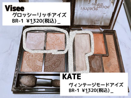 グロッシーリッチ アイズ/Visée/アイシャドウパレットを使ったクチコミ(2枚目)