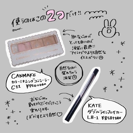 カラーミキシングコンシーラー/キャンメイク/パレットコンシーラーを使ったクチコミ(2枚目)