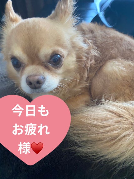 D:NA プロアチンマスク/MEDIHEAL/シートマスク・パックを使ったクチコミ(8枚目)