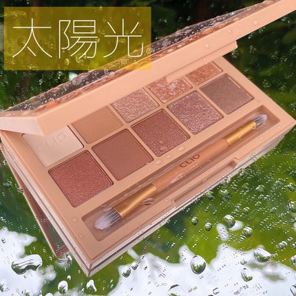 プロ アイ パレット/CLIO/アイシャドウパレットを使ったクチコミ(2枚目)
