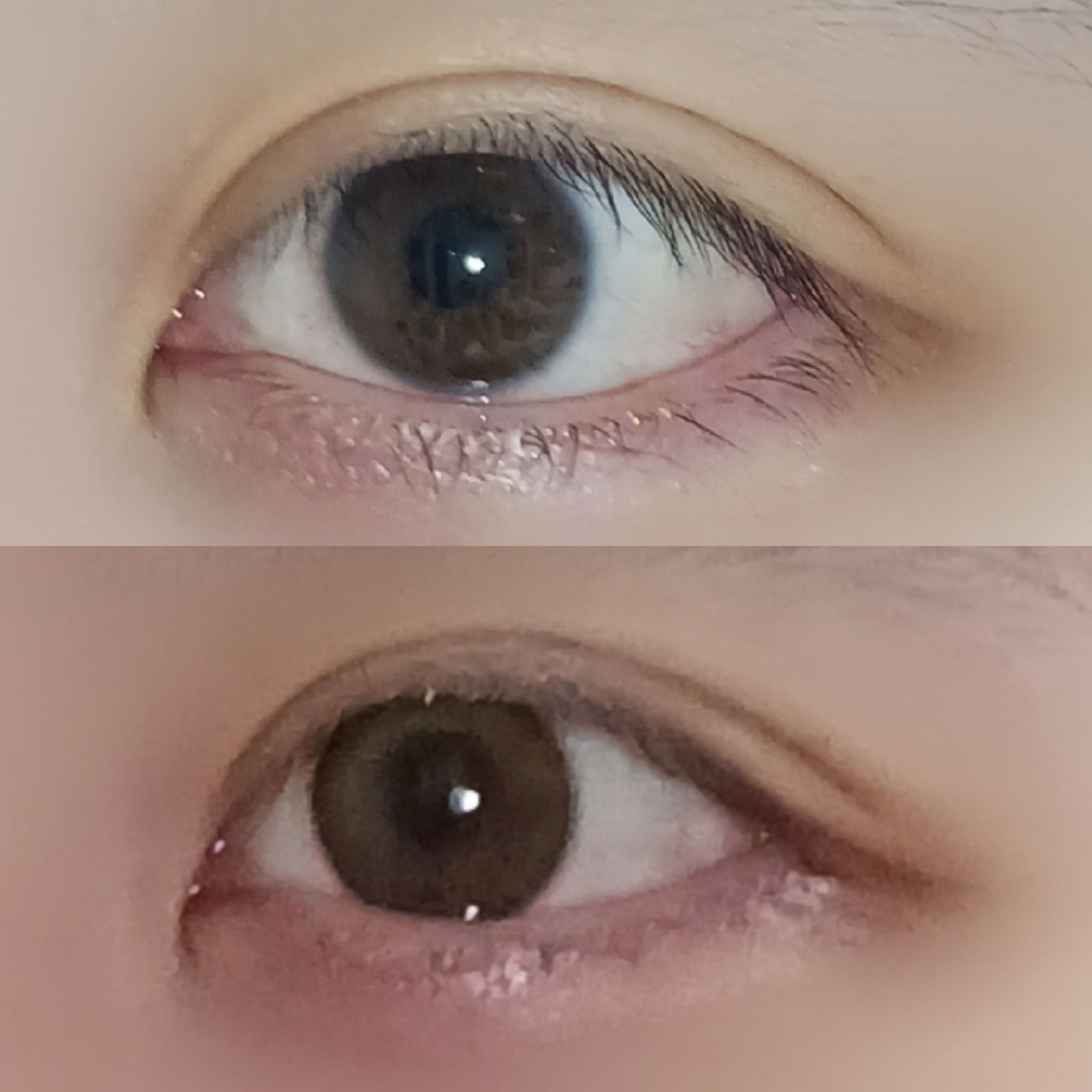 melotte 1day/melotte/ワンデー（１DAY）カラコンを使ったクチコミ（2枚目）