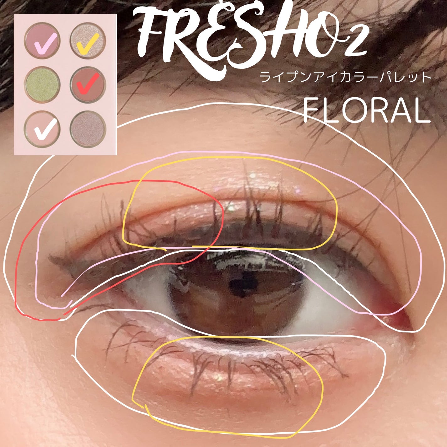 ライプンアイカラーパレット/FRESHO2/アイシャドウパレットを使ったクチコミ(2枚目)