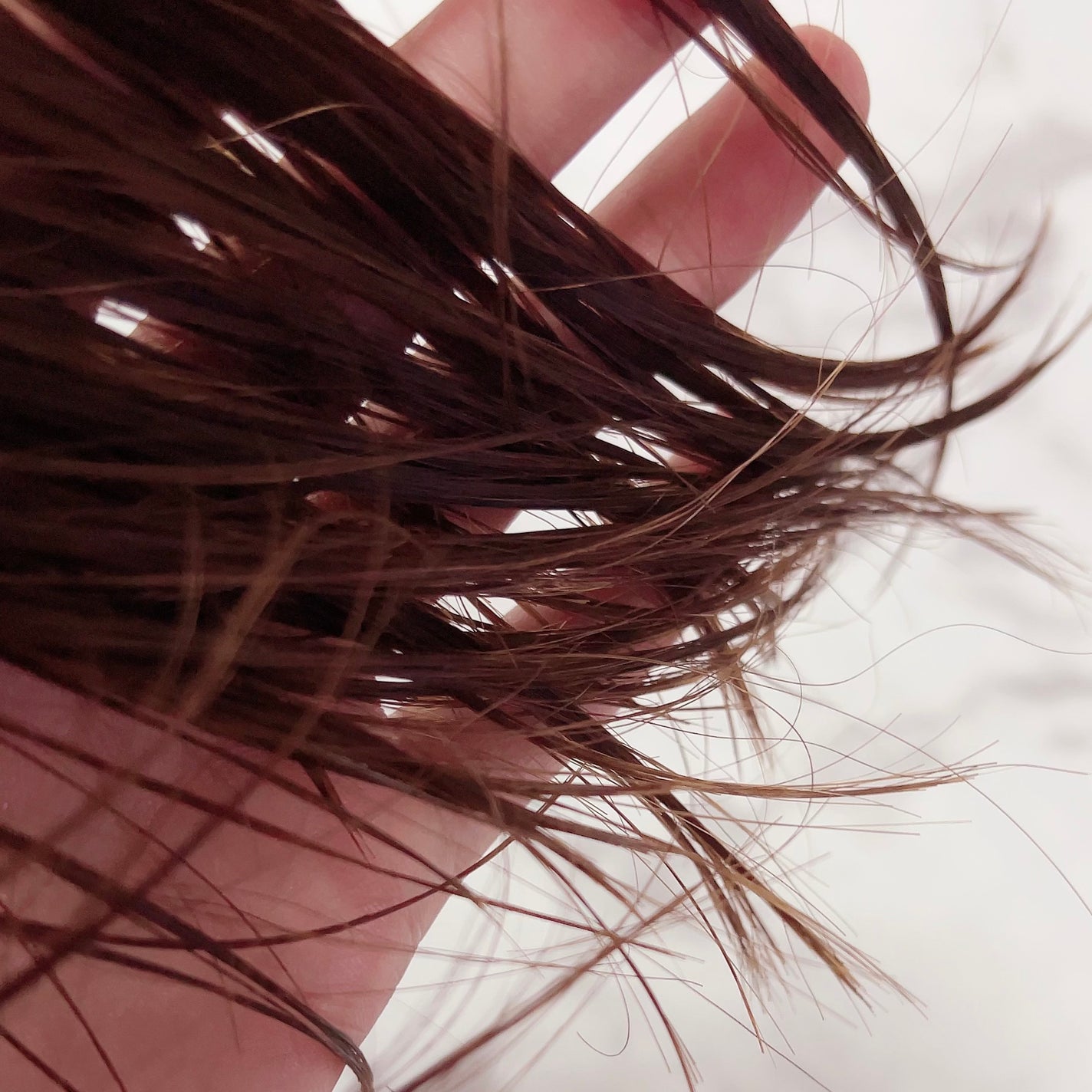 ジュレーム iP タラソリペア キューティクルボンド ヘアオイル/Je l'aime/ヘアオイルを使ったクチコミ(7枚目)