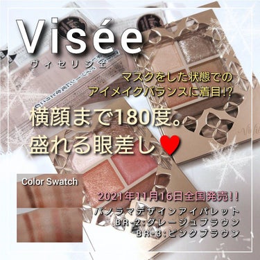 パノラマデザイン アイパレット/Visée/アイシャドウパレットを使ったクチコミ（1枚目）