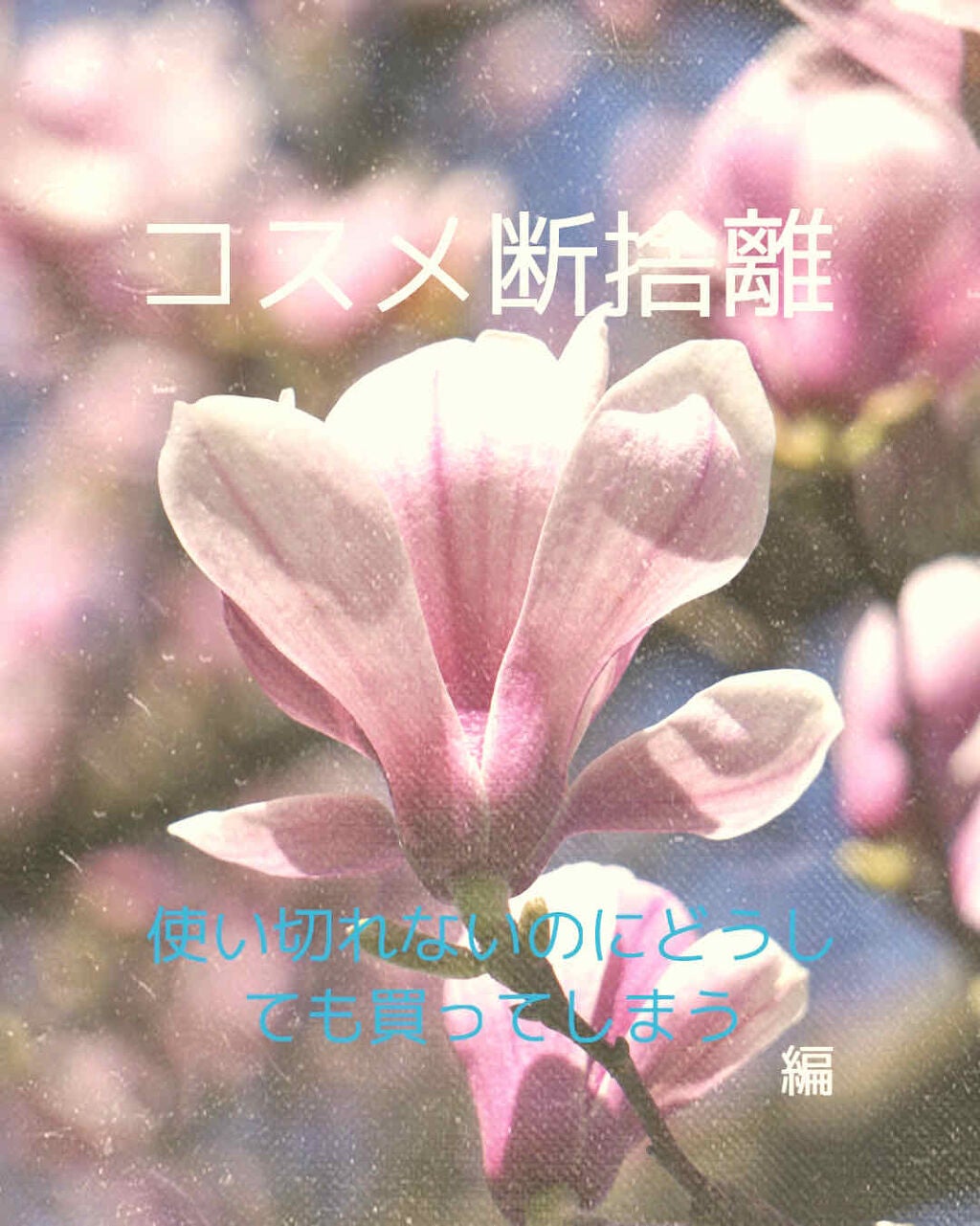 プレイカラーアイズ ミニ #キットカット ストロベリーティラミス/ETUDE/アイシャドウパレットを使ったクチコミ(1枚目)