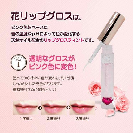 HANAリップグロス/ハイジドルフ/リップグロスを使ったクチコミ(2枚目)