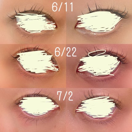 ラピッドラッシュ(R) 日本仕様正規品/ベリタス/まつげ美容液を使ったクチコミ(6枚目)