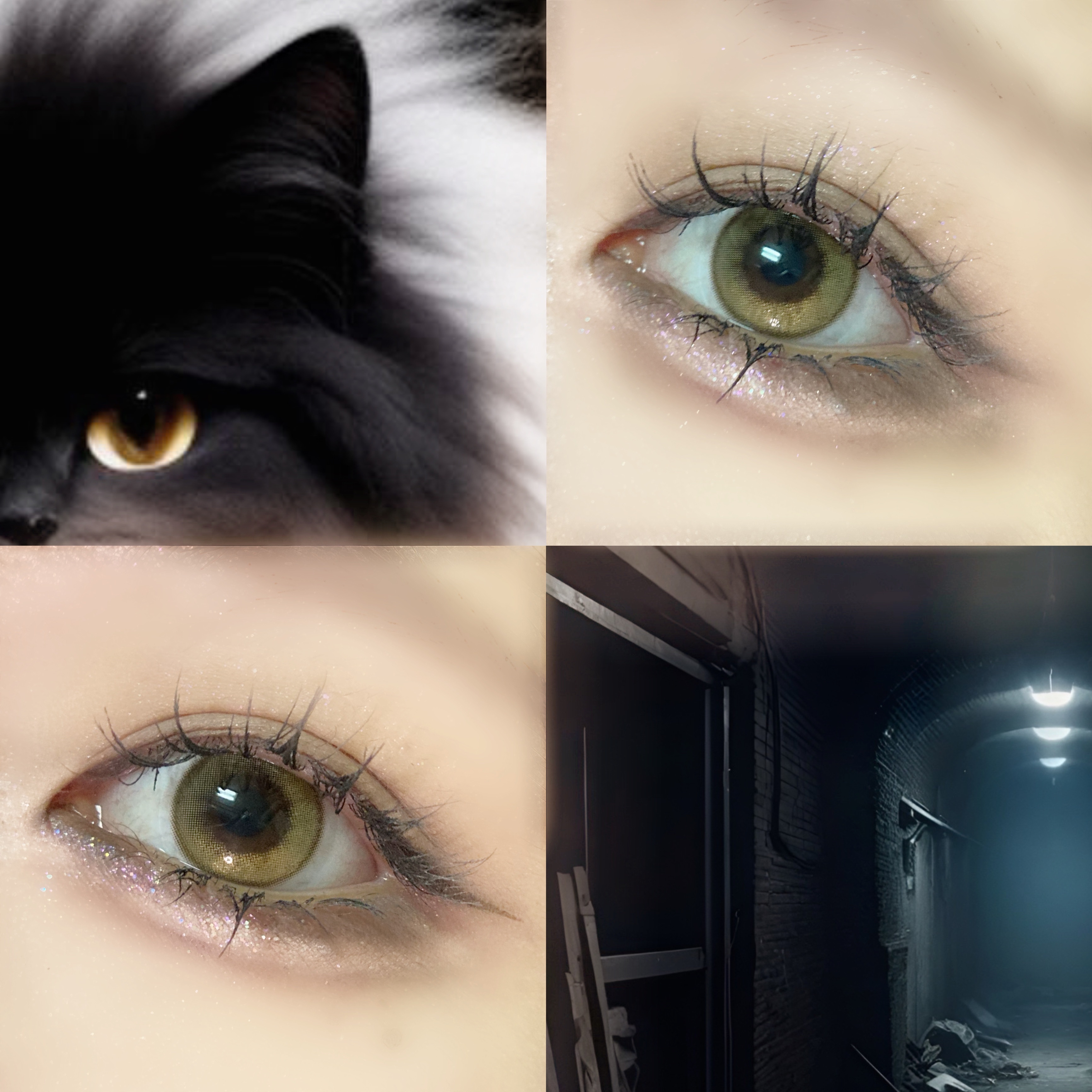 ダルブラウン/LENSME/カラーコンタクトレンズを使ったクチコミ（2枚目）