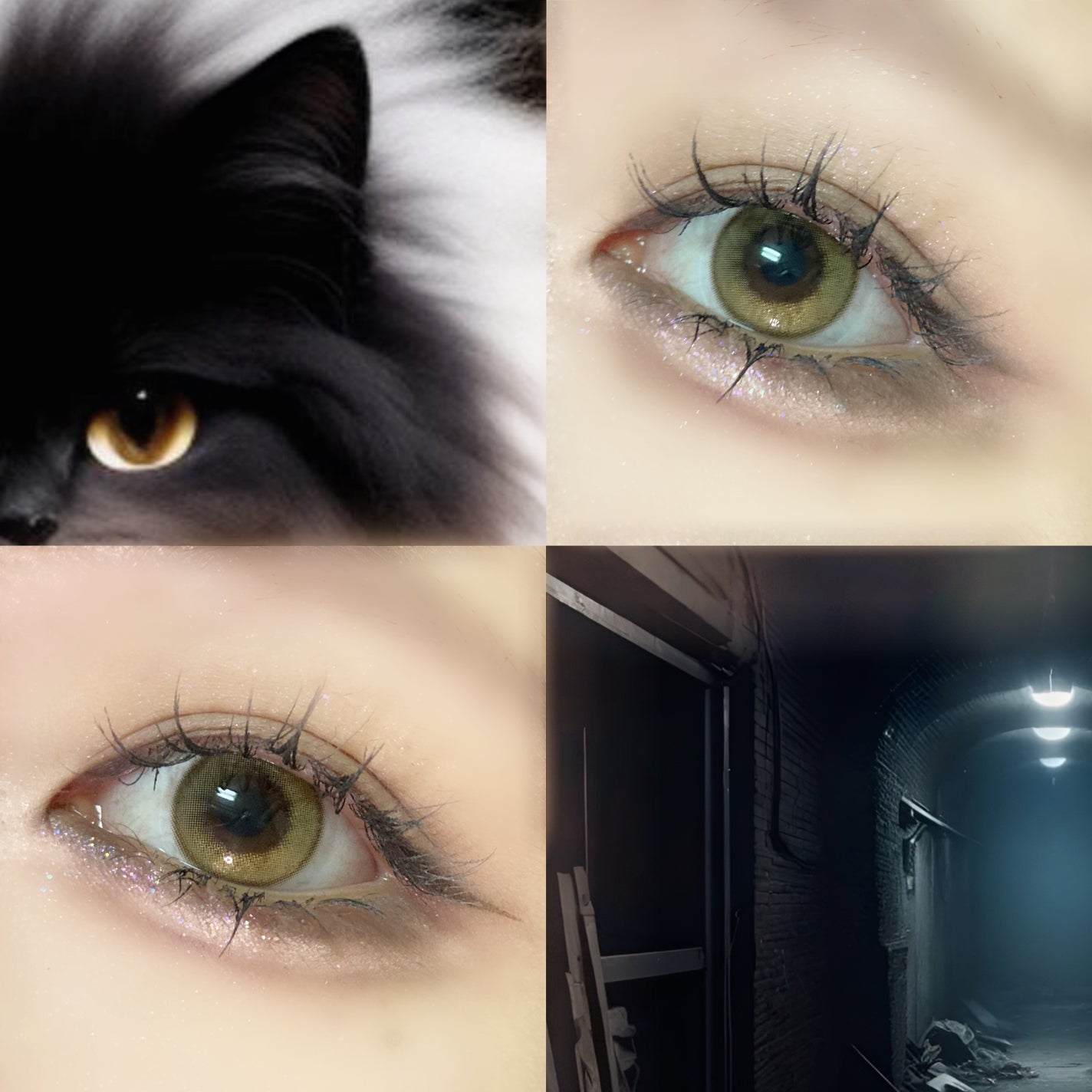 ダルブラウン/LENSME/カラーコンタクトレンズを使ったクチコミ(2枚目)