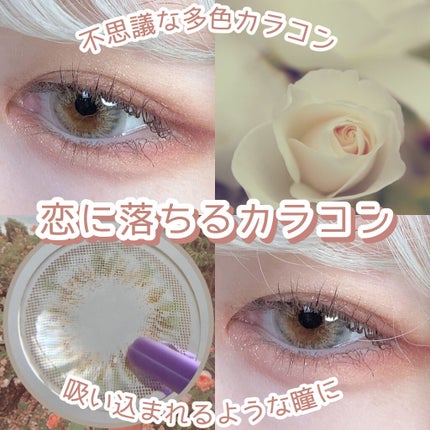 Silly Kristin/Hapa kristin/カラーコンタクトレンズを使ったクチコミ(1枚目)