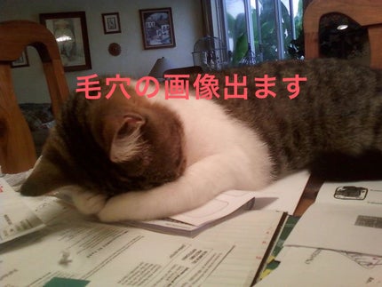 Мэи on LIPS 「こんにちは!2連続の投稿になります𓂃𓈒𓏸今回は話題のビタミン..」(4枚目)