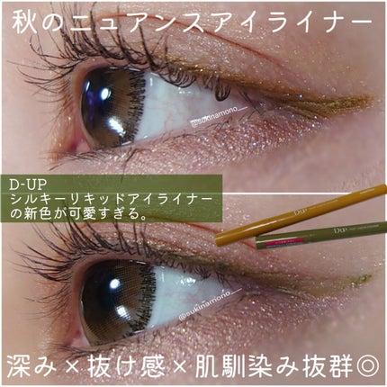 シルキーリキッドアイライナーWP/D-UP/リキッドアイライナーを使ったクチコミ(1枚目)