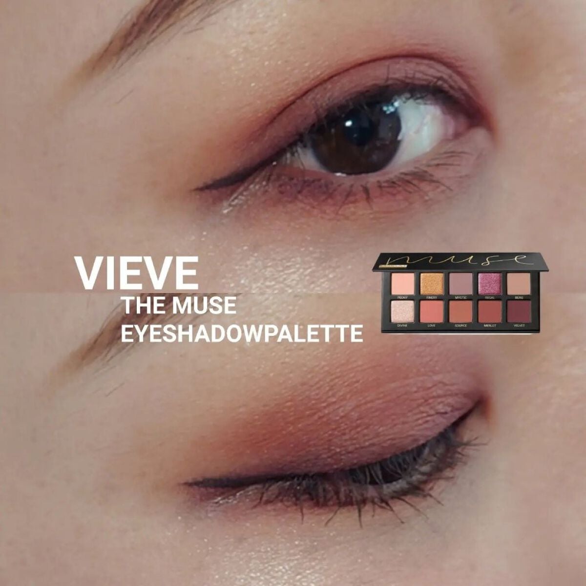 THE MUSE EYESHADOWPALETTE/VIEVE/アイシャドウパレットを使ったクチコミ(1枚目)
