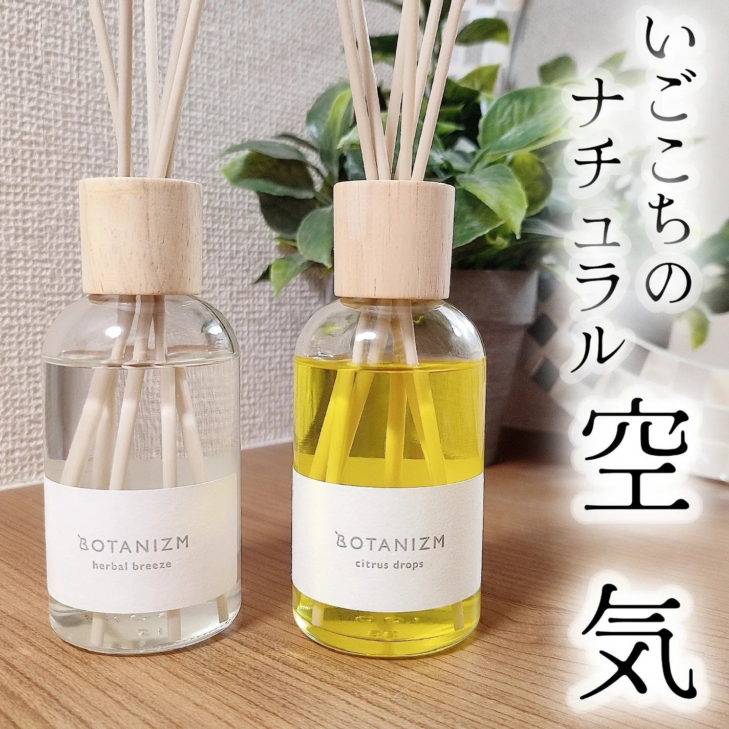 リードディフューザー ハーバルブリーズ/ボタニズム /香水(その他)を使ったクチコミ(1枚目)