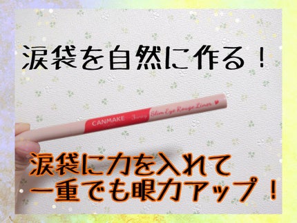 3wayスリムアイルージュライナー/キャンメイク/リキッドアイライナーを使ったクチコミ(1枚目)