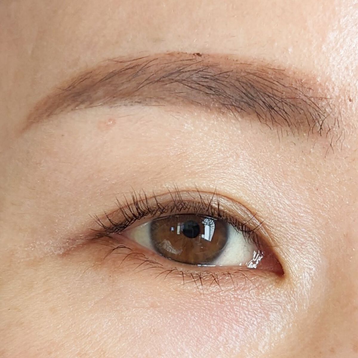 マルチカラーバリエーション シルキー SK09/チャコット・コスメティクス/単色アイシャドウを使ったクチコミ（3枚目）