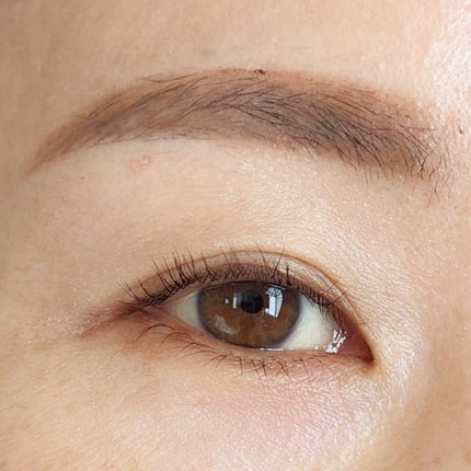 マルチカラーバリエーション シルキー/チャコット・コスメティクス/単色アイシャドウを使ったクチコミ(3枚目)