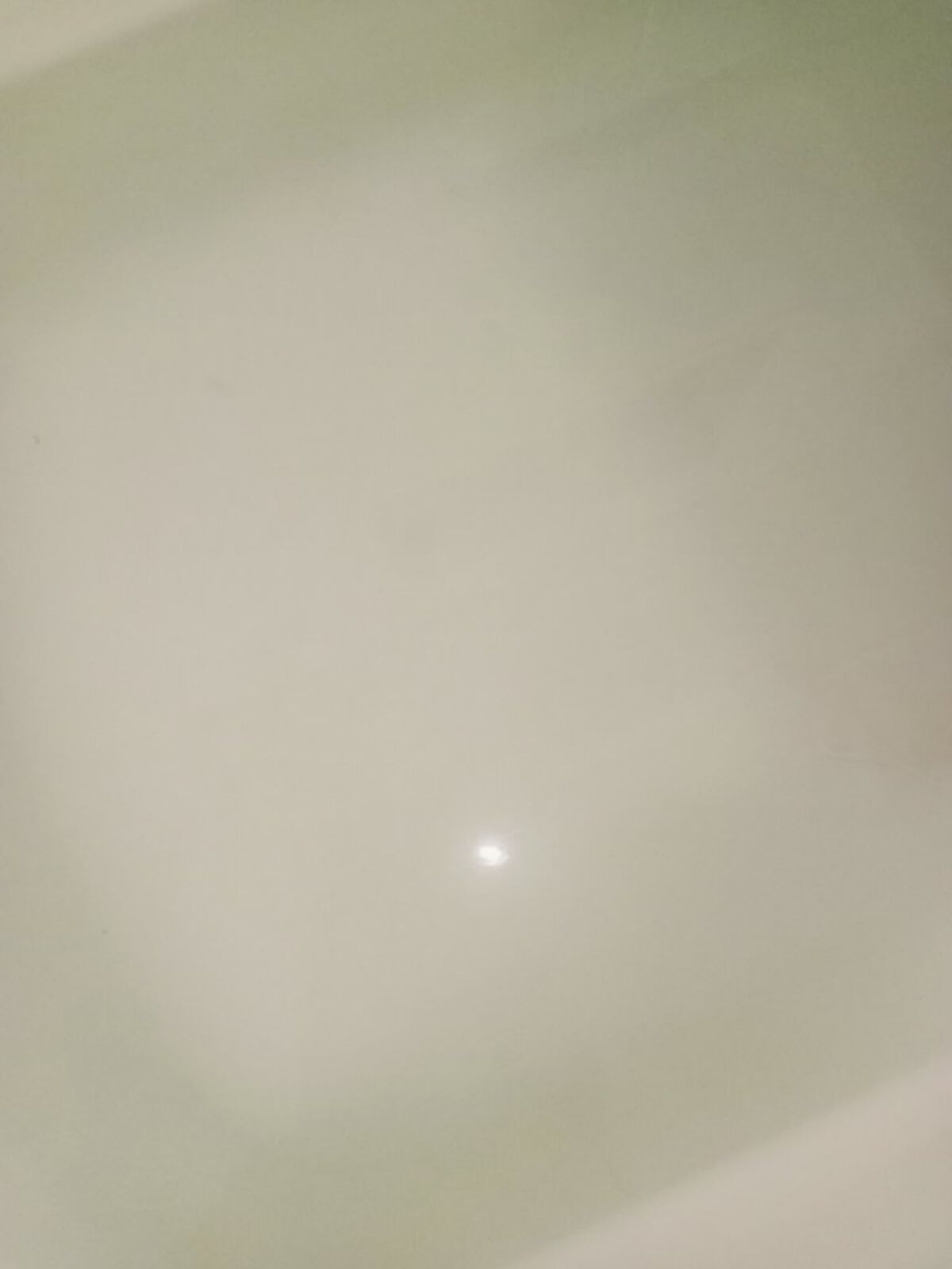 GRAND BATH Citrus Green/GRAND BATH/入浴剤を使ったクチコミ（3枚目）