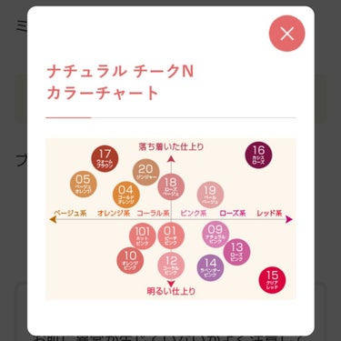 CEZANNE ナチュラル チークNのクチコミ「コスメ購入品

最近アイメイク強めなので、チークはカラーレスなタイプがお気に入りです。
そんな.....」（2枚目）