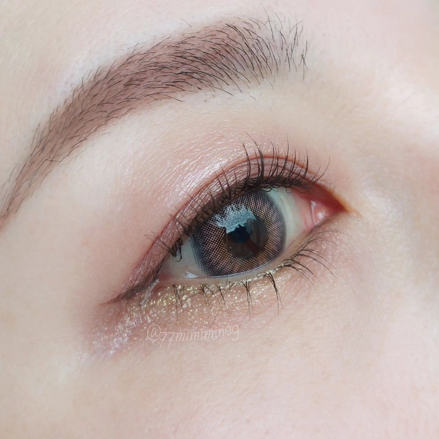 アイカラーレーション/LUNASOL/アイシャドウパレットを使ったクチコミ(5枚目)