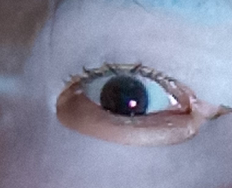 ヘアープロ粒/リプサ/美容サプリメントを使ったクチコミ（2枚目）