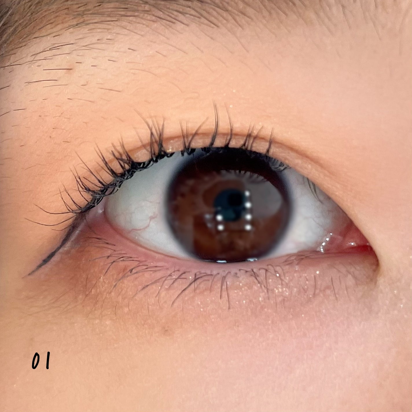 ムードブレンディングシャドウパレット/Coralhaze/アイシャドウパレットを使ったクチコミ(6枚目)