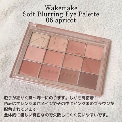 ソフトブラーリングアイパレット/wakemake/アイシャドウパレットを使ったクチコミ(2枚目)