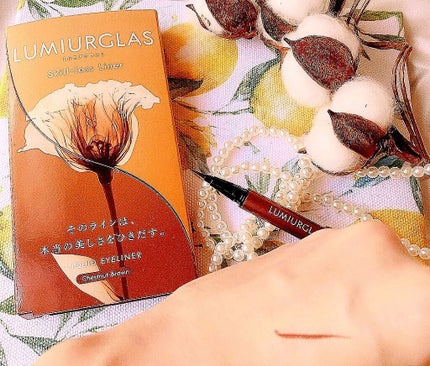 スキルレスライナー/LUMIURGLAS/リキッドアイライナーを使ったクチコミ(2枚目)